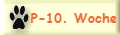 P-10. Woche