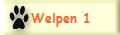 Welpen 1