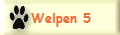 Welpen 5