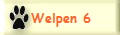 Welpen 6