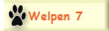 Welpen 7