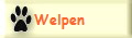 Welpen