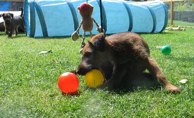 Paula,  hinten Kooper