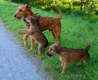 Red Rabbits Hello Byron mit  Klrchen und Paula