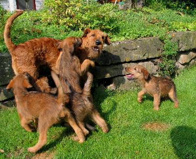 Hello Byron im Gewusel