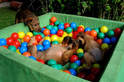 Klrchen steigt zu Kooper und Paula