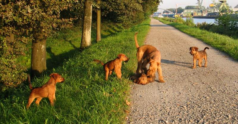 v.l. Paula, Kooper, Kalvin mit Juma, Klara