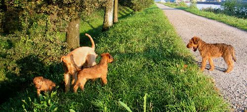 Klara, Juma mit Paula und Kalvin