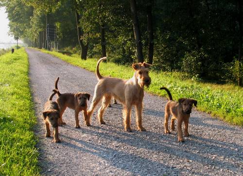 Klara, Kooper, Juma, Paula und hinten verdeckt Kalvin