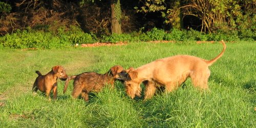 Paula, Kalvin und Juma