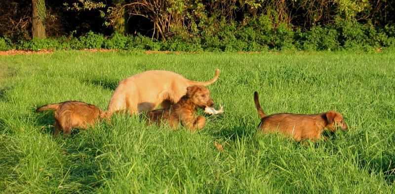 v.l. Klara, Juma, Kalvin und Paula