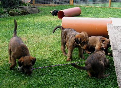 Paula, Kalvin, Kooper u. vorn Klrchen