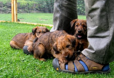 Paula, Kalvin und Kooper