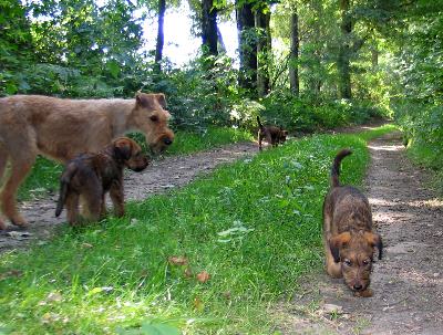 Juma mit Kalvin u. Klrchen