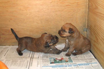 Links: No. 2, rechts No. 1